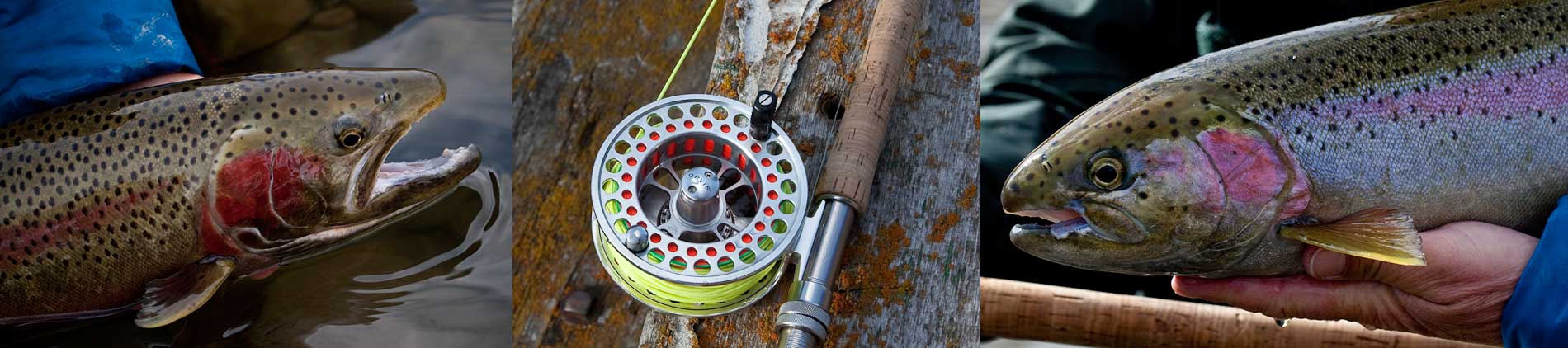 Main Salmon Fishing Trips